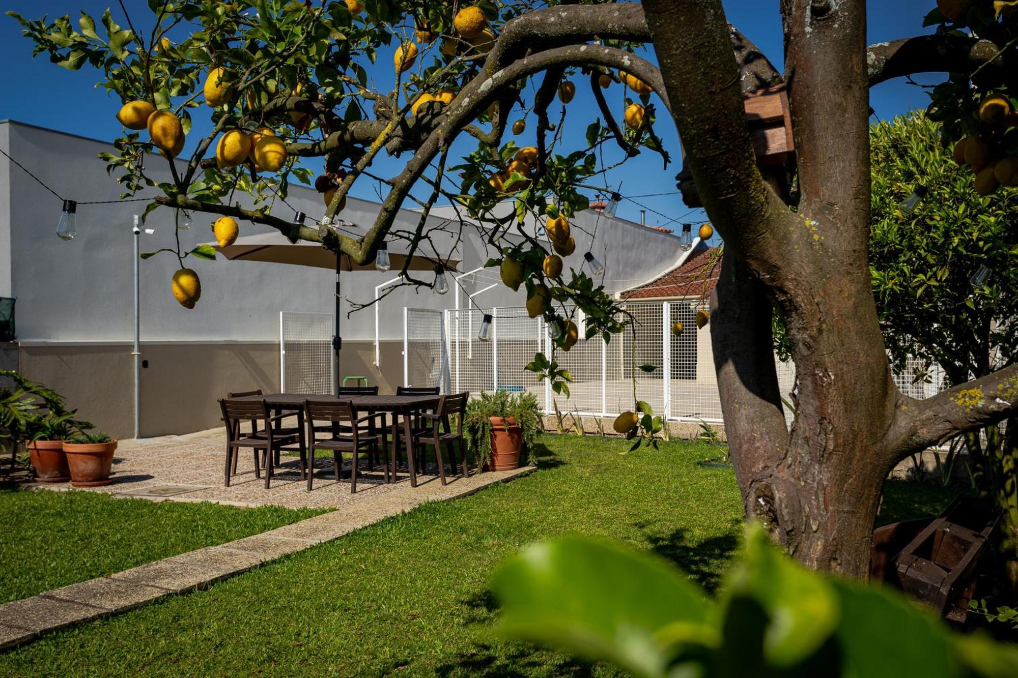 הוילה וילה דו קונדה 708 Mugnano House Aveleda מראה חיצוני תמונה